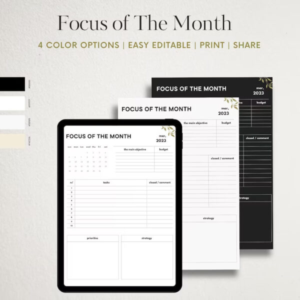 Monthly Focus Planner Template | Printable Monthly Focus Planner | Monthly Planner Template | Editable Planner | 4 Color Options