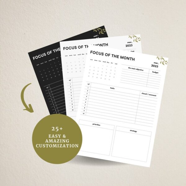 Monthly Focus Planner Template | Printable Monthly Focus Planner | Monthly Planner Template | Editable Planner | 4 Color Options